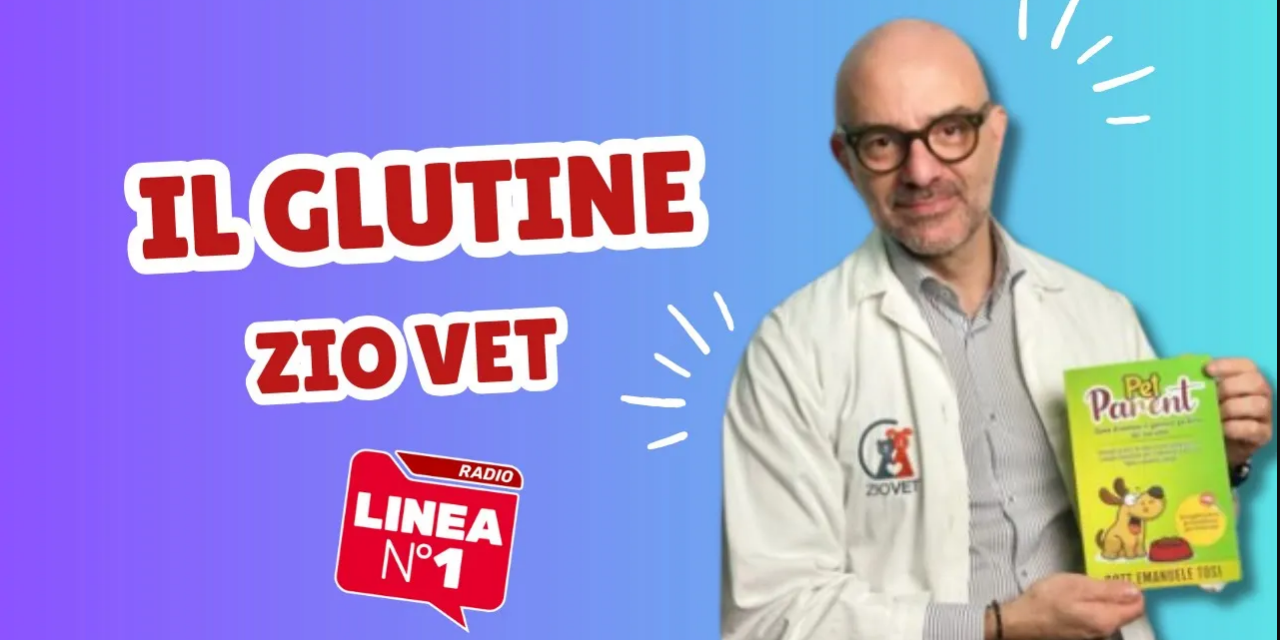 Il GLUTINE ai cani fa bene o male? ZIO VET risponde