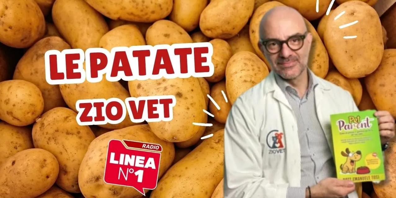 PATATE ai nostri pelosetti: sì o no? ZIO VET risponde