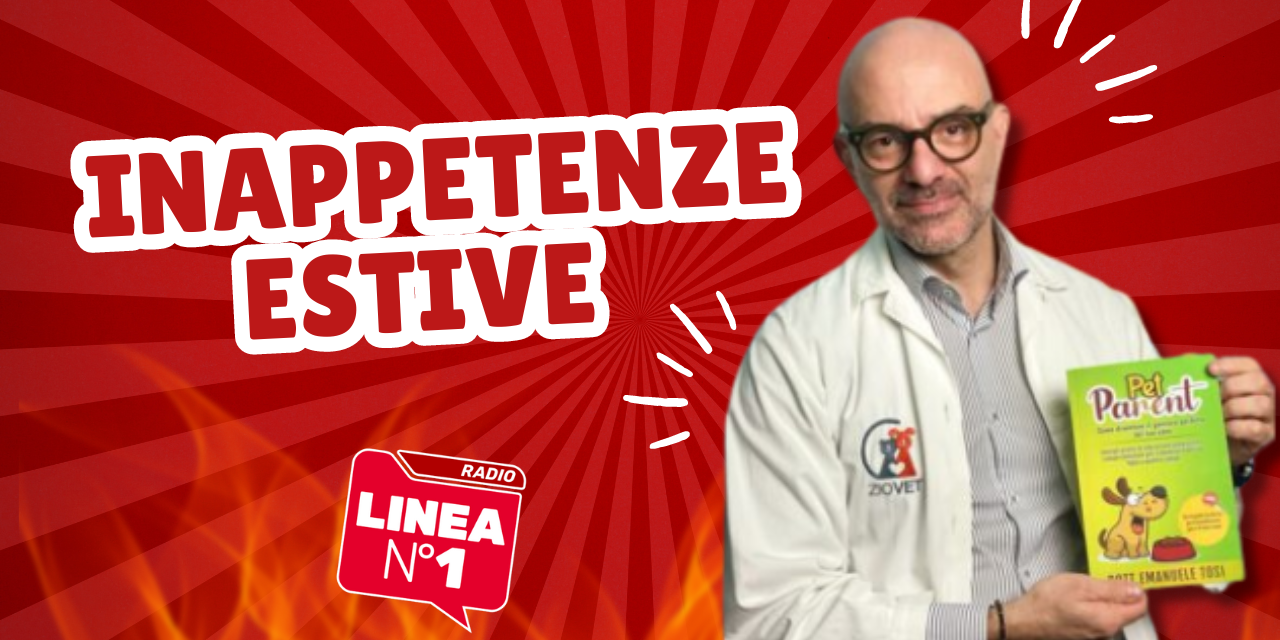 Inappetenze estive: i segreti per nutrire correttamente il tuo pelosetto – ZIO VET