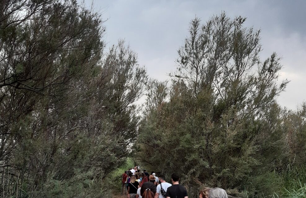 SAN BENEDETTO DEL TRONTO: CAMMINATA AL TRAMONTO