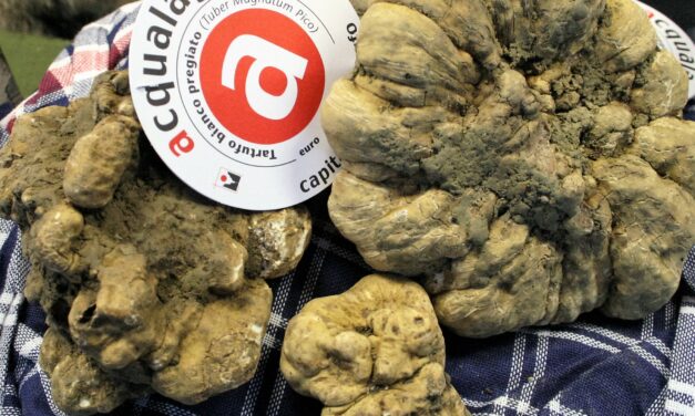 59ª FIERA NAZIONALE DEL TARTUFO BIANCO DI ACQUALAGNA