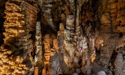 MOSTRA “DALLE GROTTE DI FRASASSI ALLE GROTTE DEL MONDO” AD ANCONA