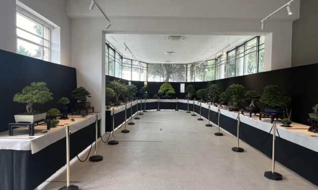 IV EDIZIONE DELLA MOSTRA BONSAI A CIVITANOVA MARCHE
