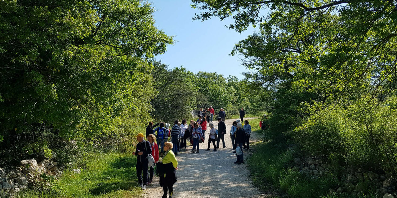 PASSEGGIATA ECOLOGICA A TREIA